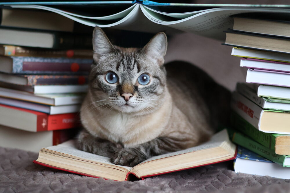 Photograph by Оксана Костенко