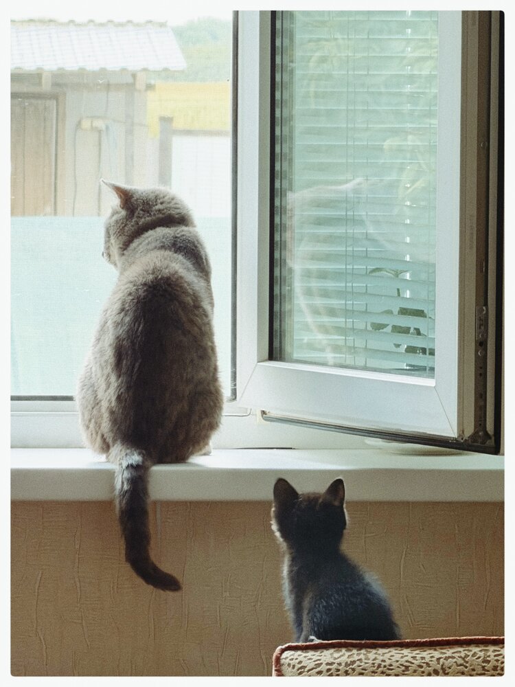 Photograph by Ирина Герлин