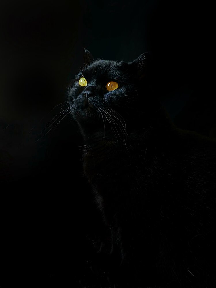 Photograph by Liliia Androsova