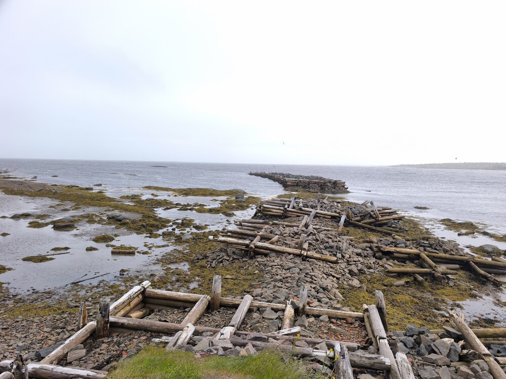 Photo #14026417