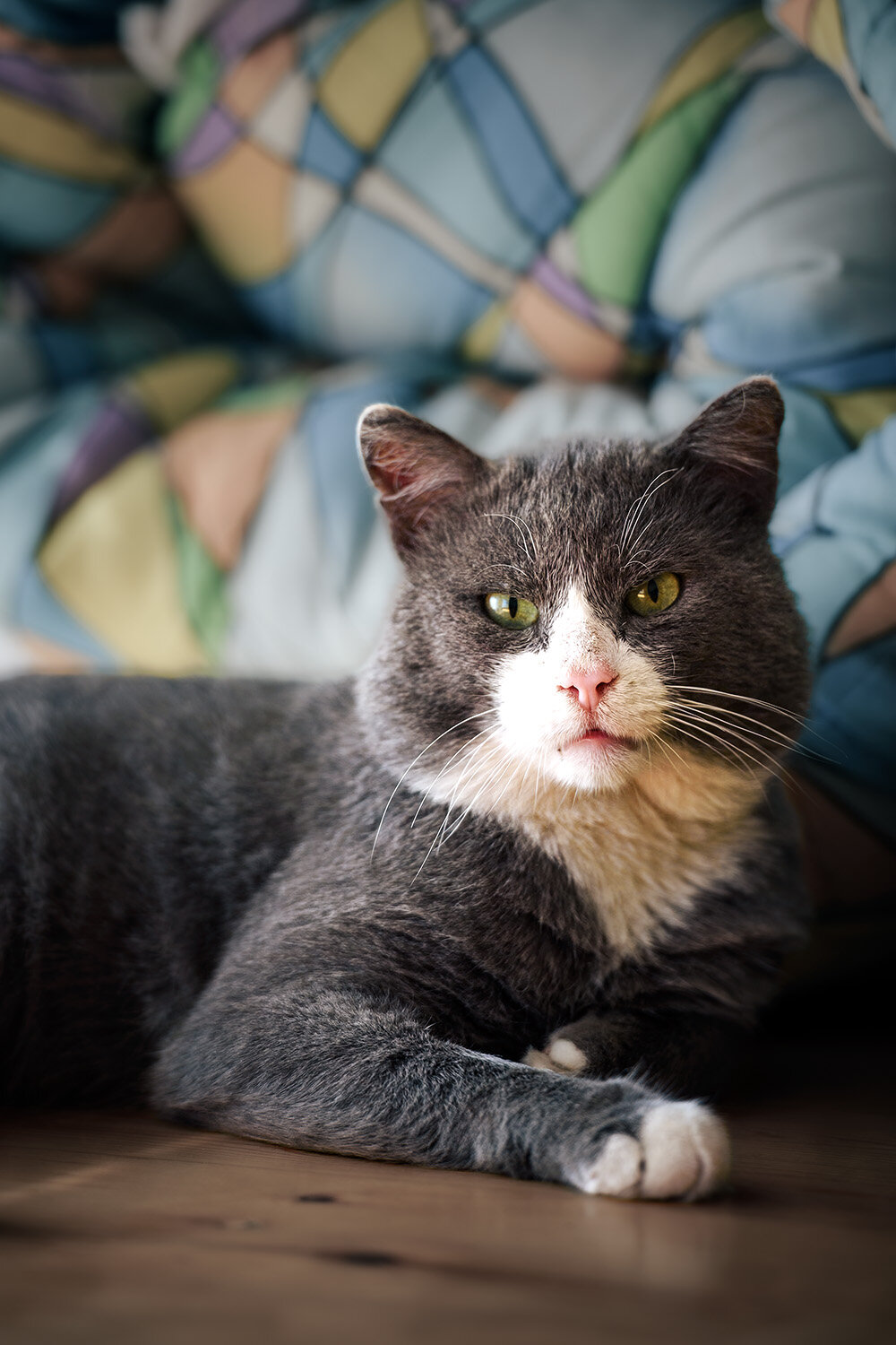 Photo #14026426