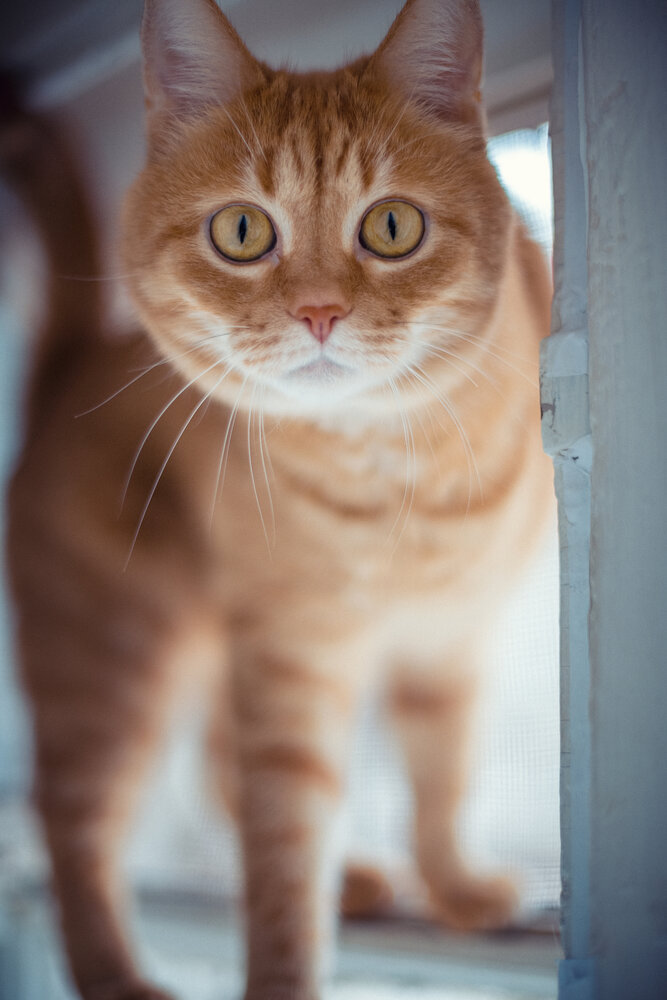 Photograph by Алексей Непрокин