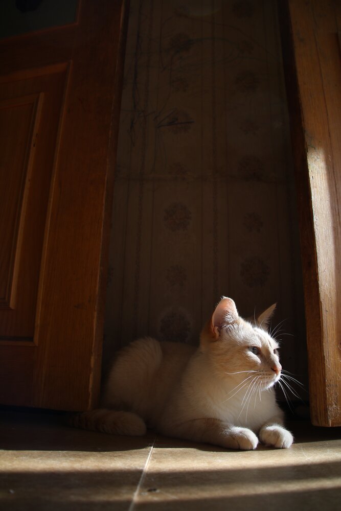 Photograph by Not Silver