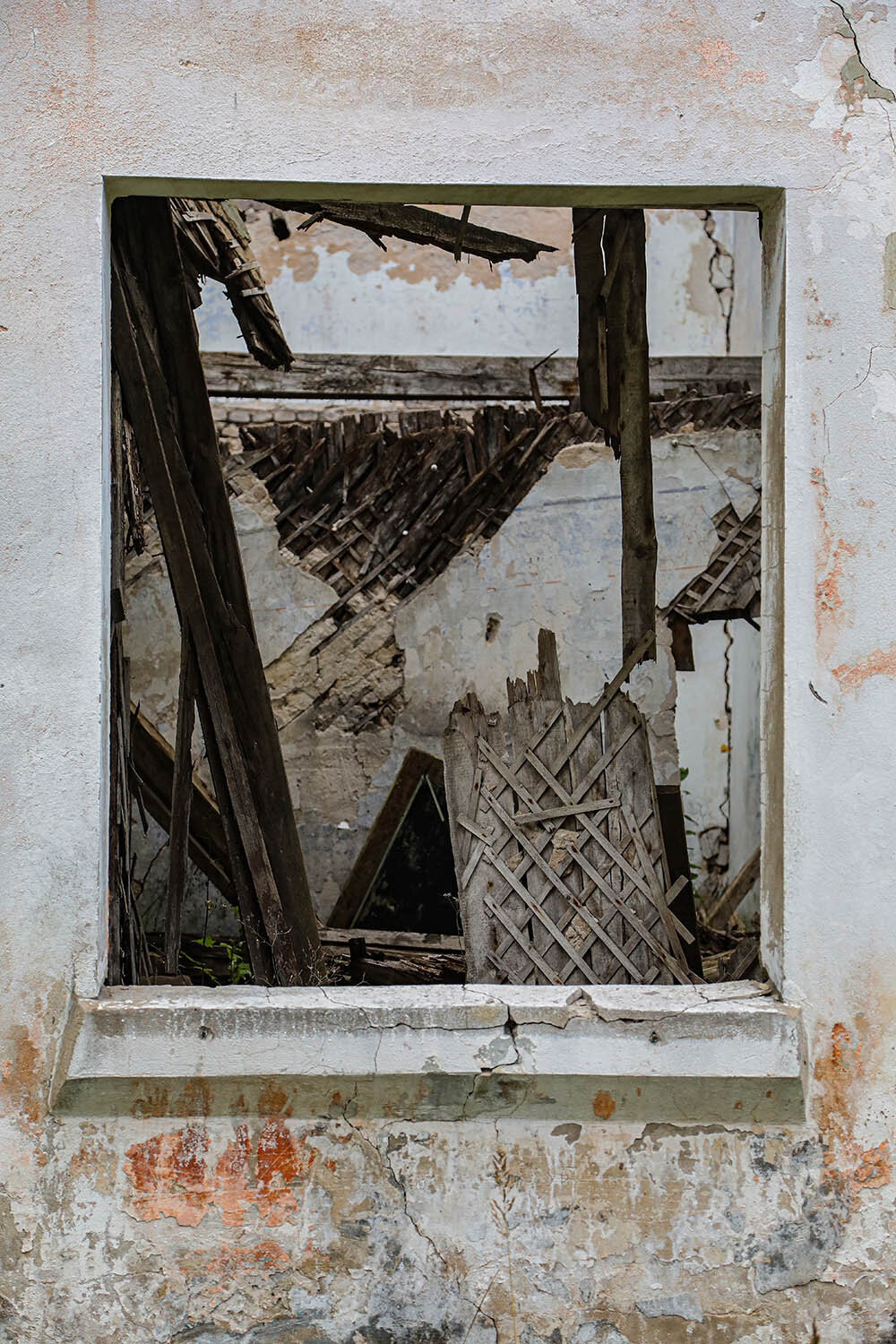 Photo #14026446