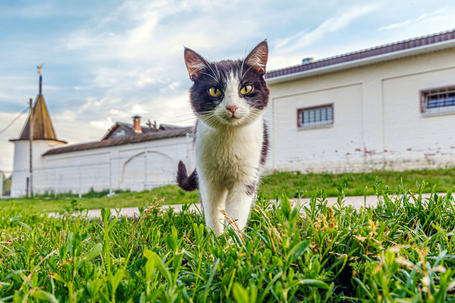 Photo #14026457