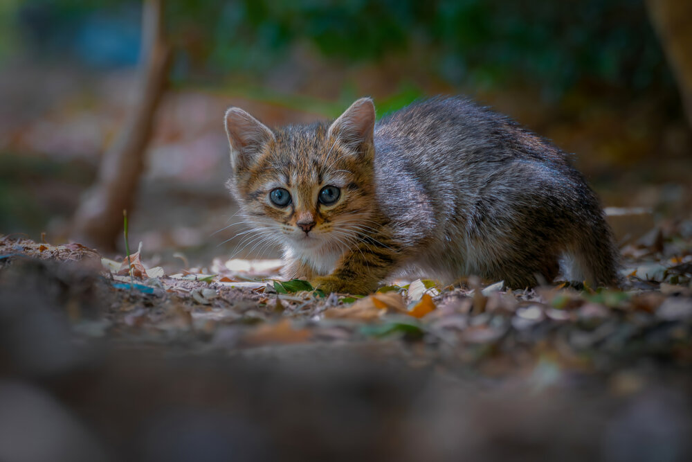 Photograph by Mehdi Reihani