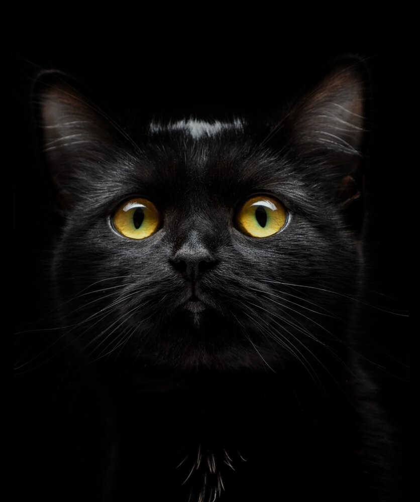 Photograph by Федюков Алексей
