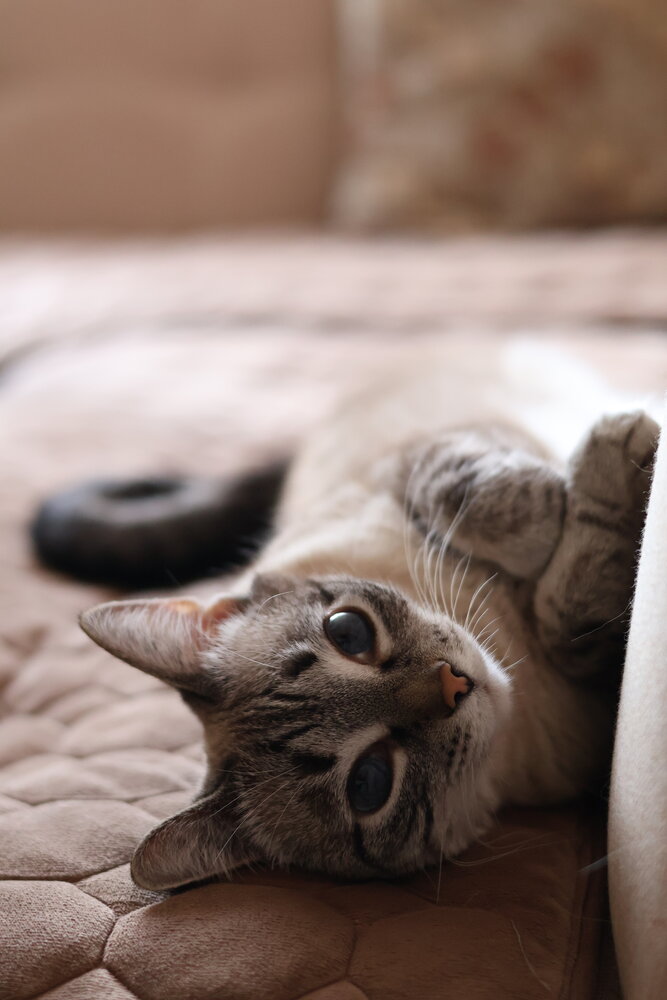 Photograph by Оксана Костенко