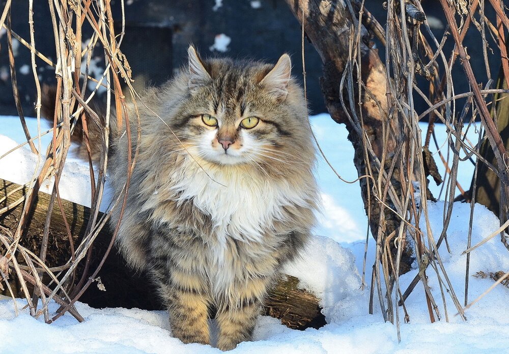 Photograph by ВЛАДИМИР Тертышник