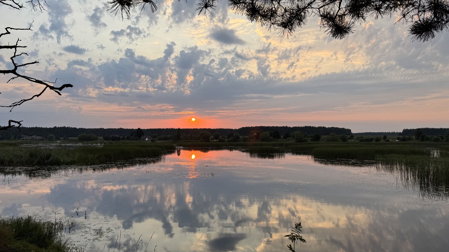 Photo #14026534
