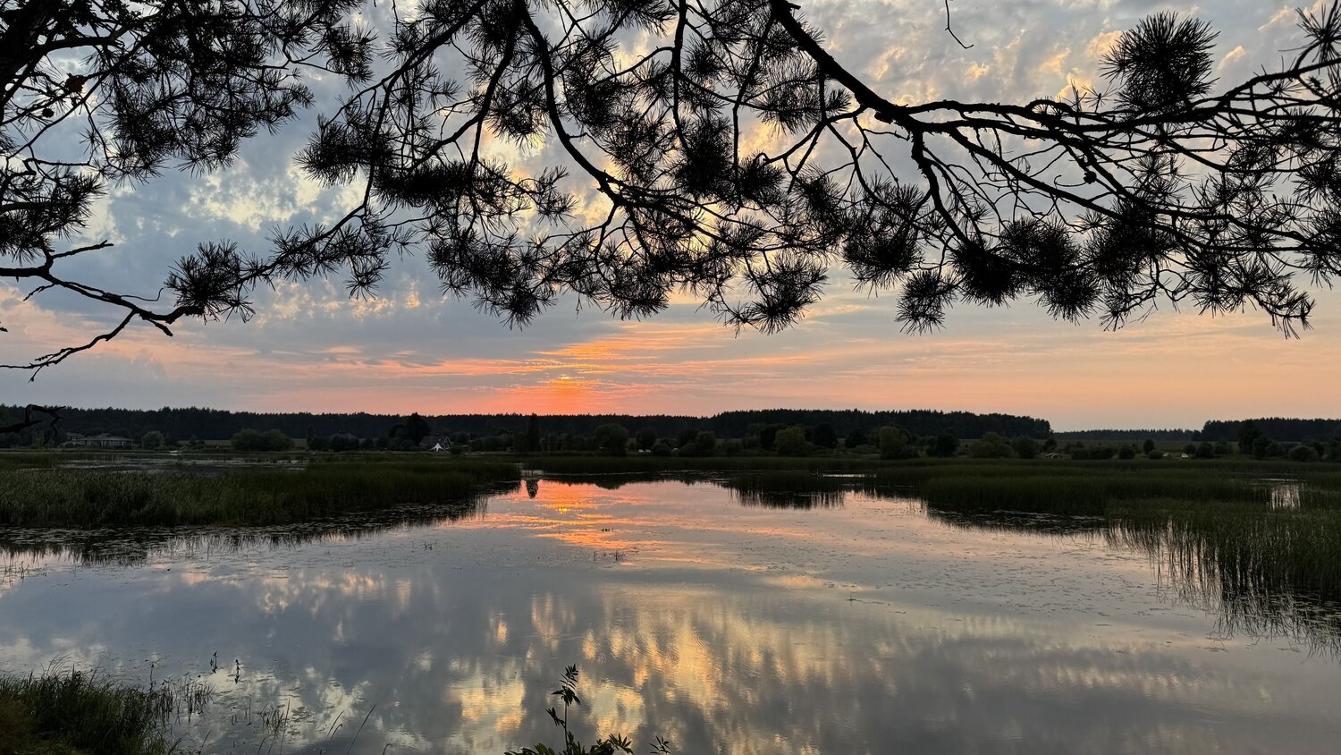Photo #14026535