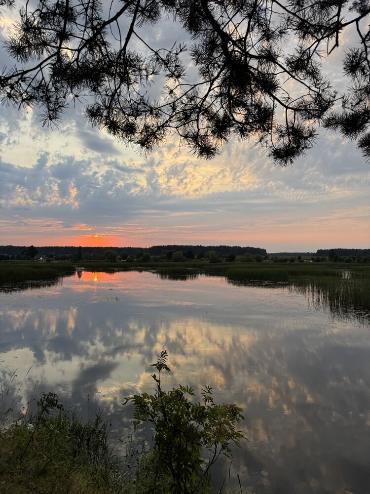 Photograph by Татьяна