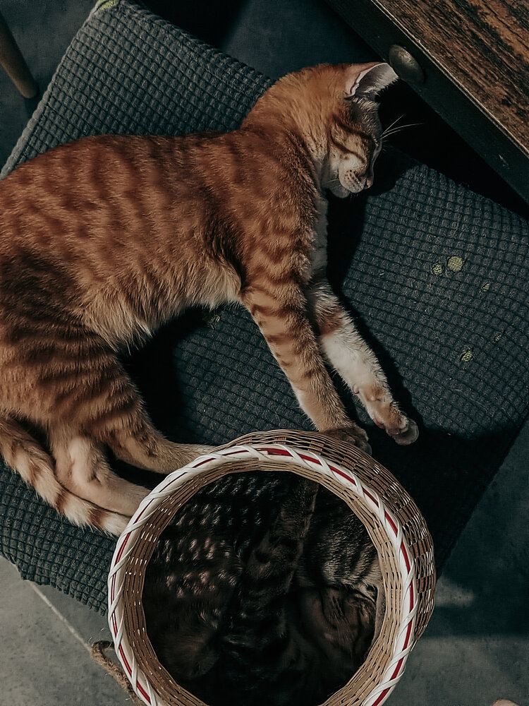 Photograph by Мария Ванина