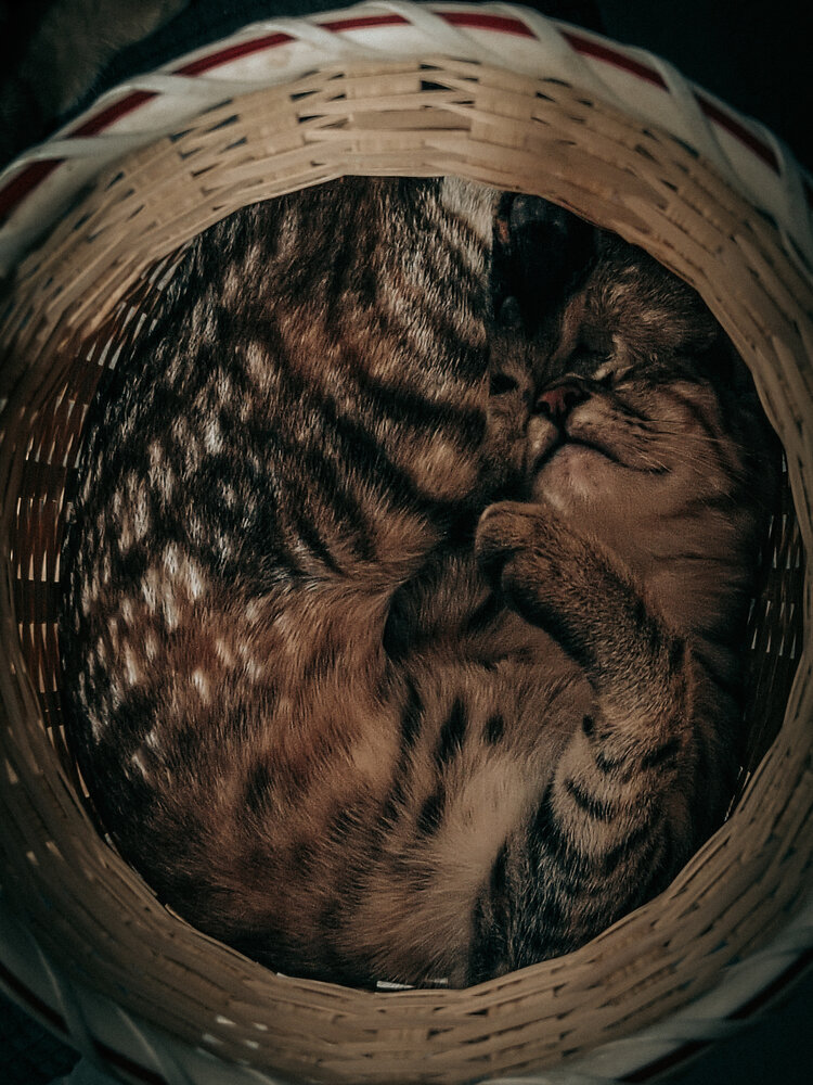 Photograph by Мария Ванина