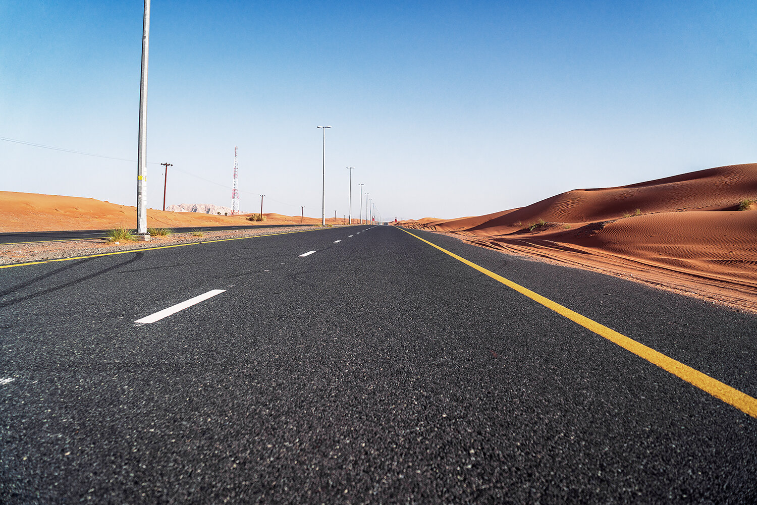 Photo #14026596