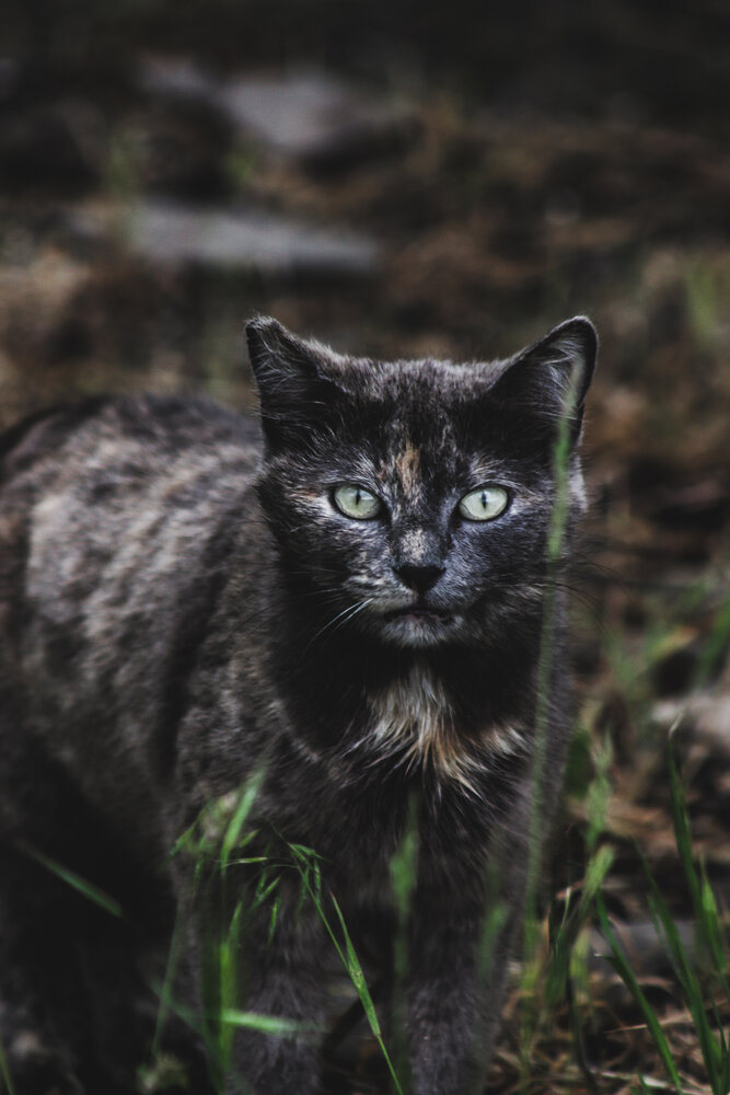 Photograph by Юлия Сысоева