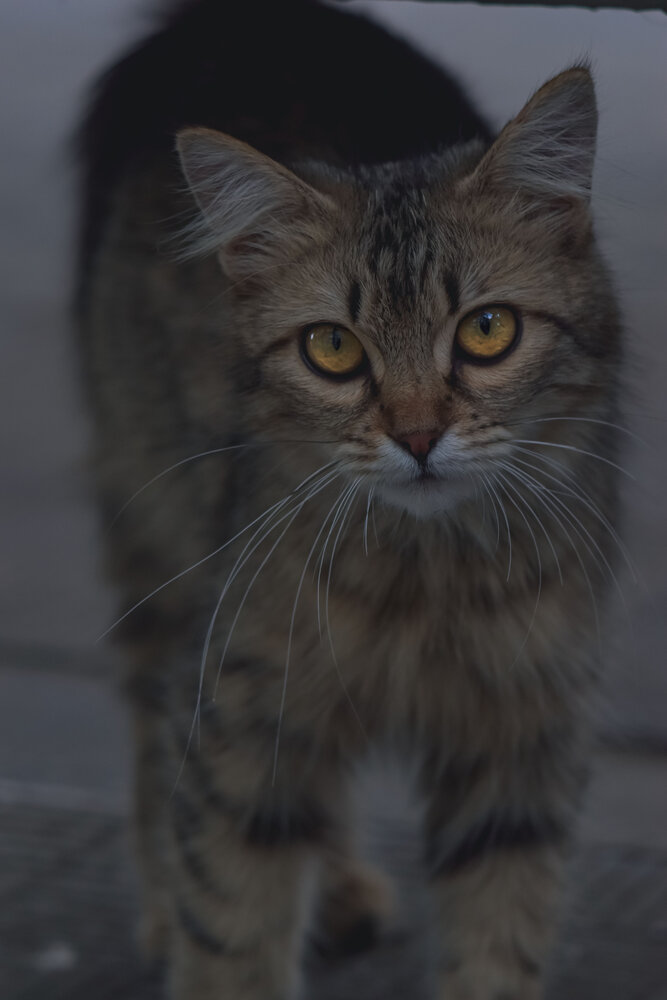 Photograph by Катерина Сорокина