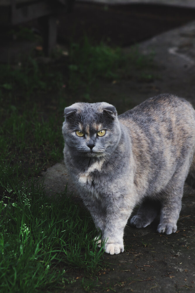Photograph by Юлия Сысоева