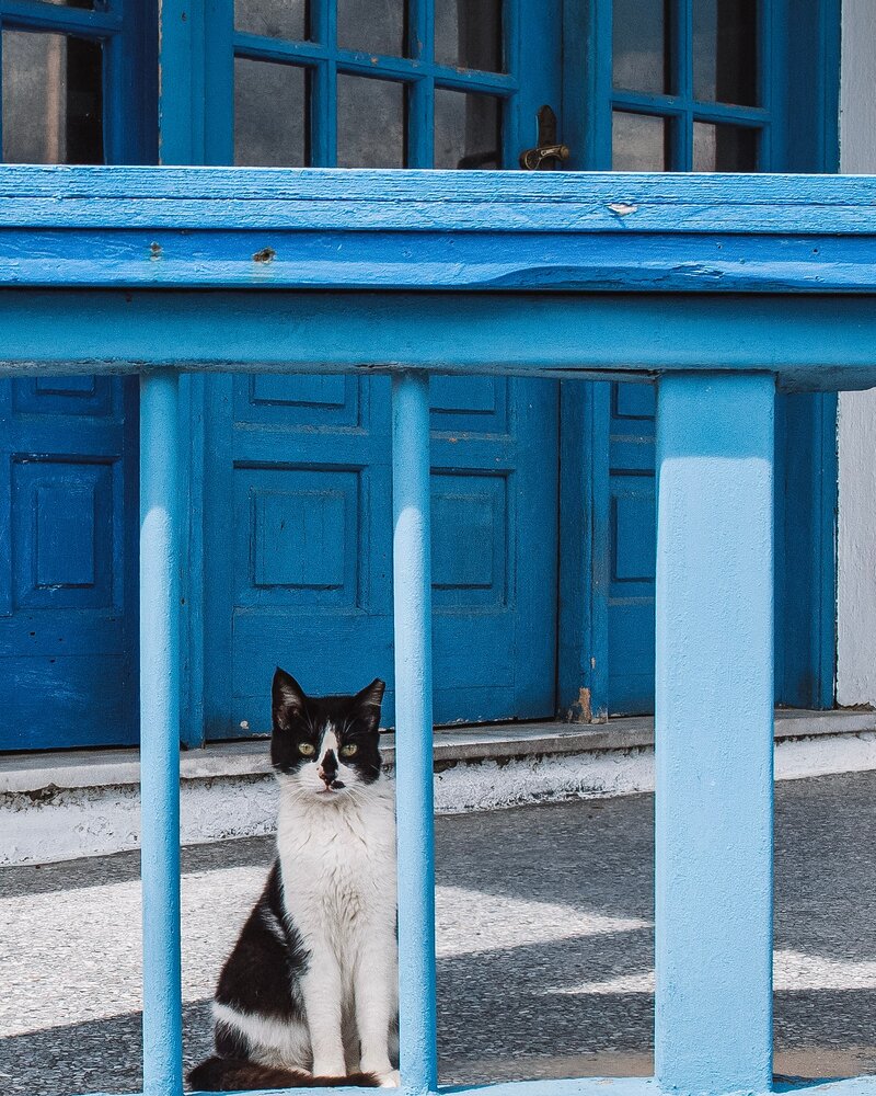 Photograph by Alexandra Sergeeva