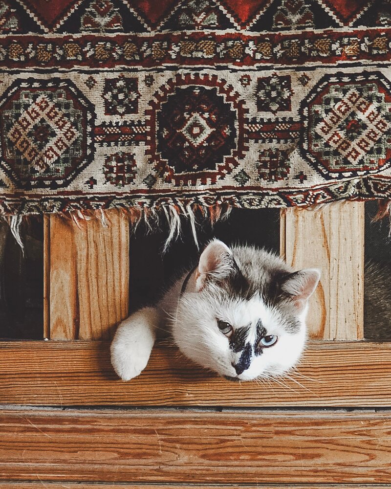 Photograph by Alexandra Sergeeva