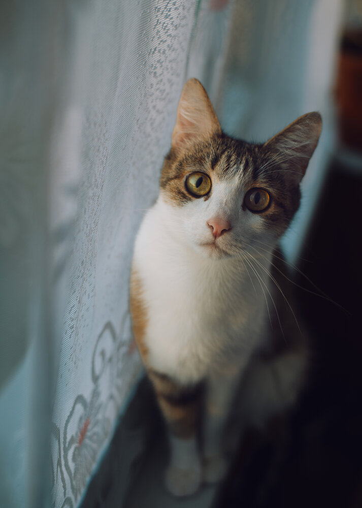 Photograph by Дмитрий Александрович