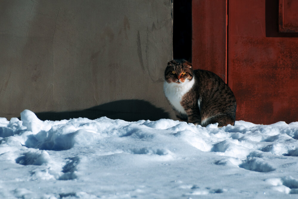 Photograph by Сергей Удовиченко