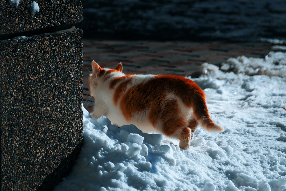 Photograph by Сергей Удовиченко