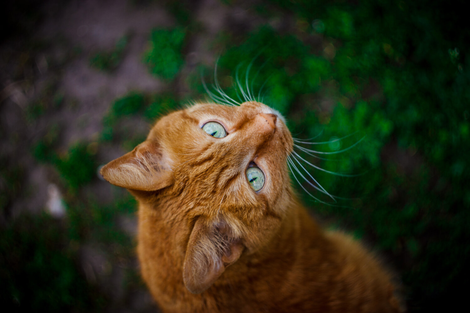 Photo #14026644