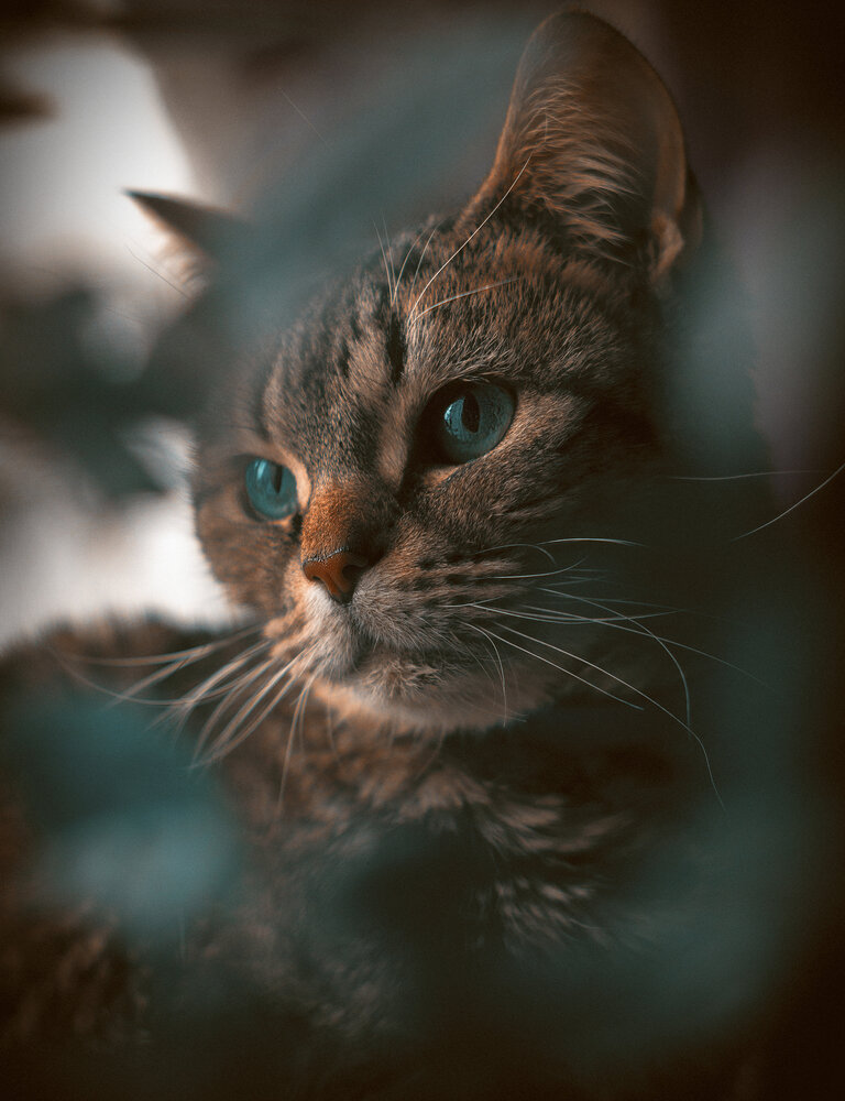 Photograph by Дмитрий Александрович