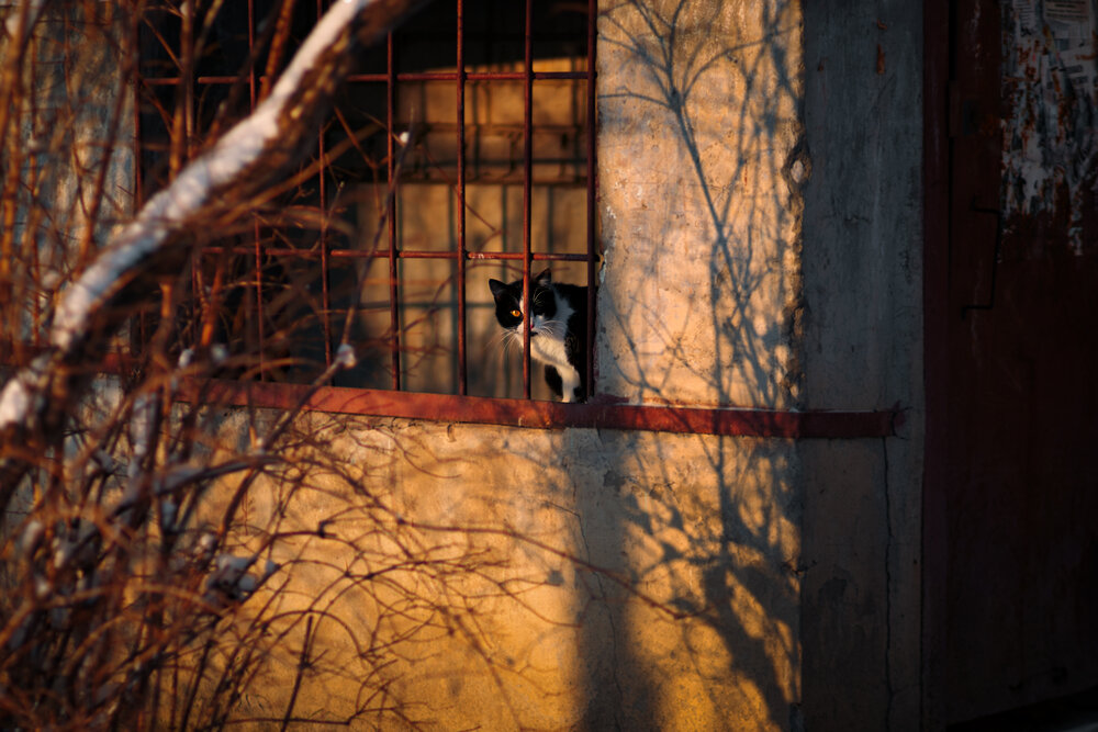 Photograph by Сергей Удовиченко