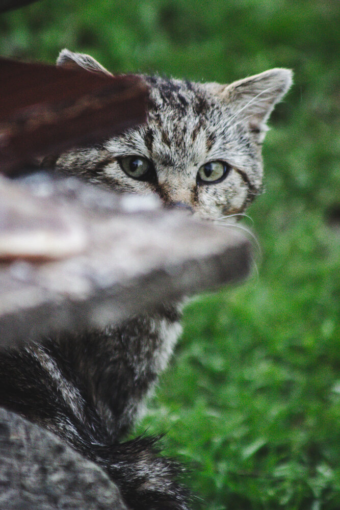 Photograph by Юлия Сысоева