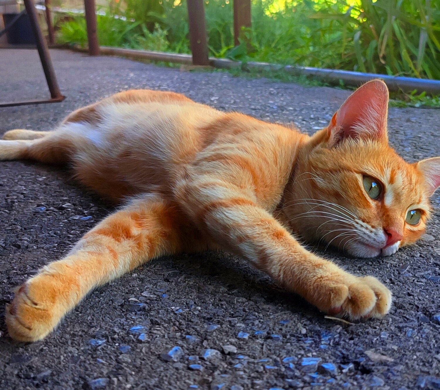 Photo #14026656