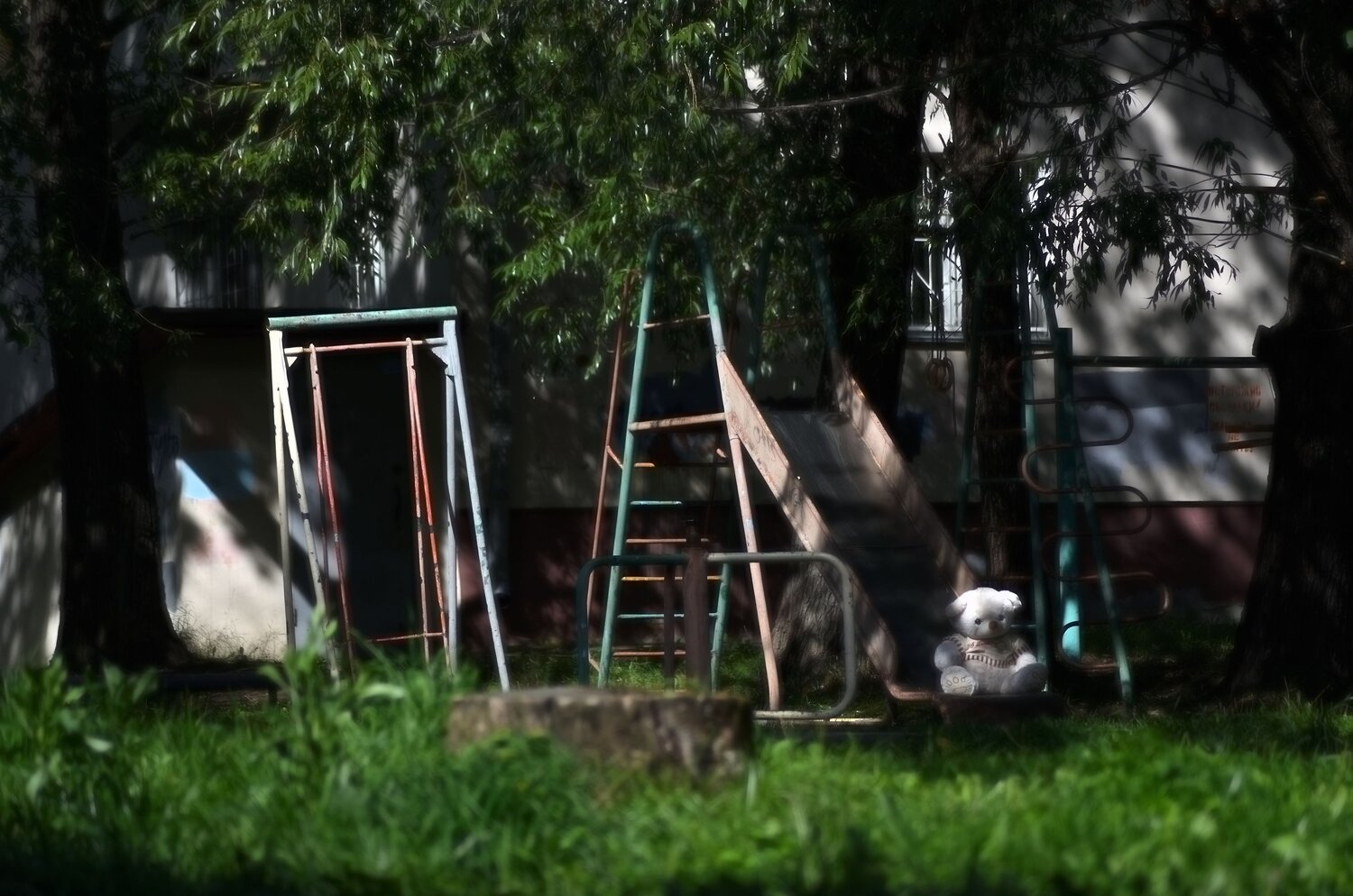 Photo #14026661