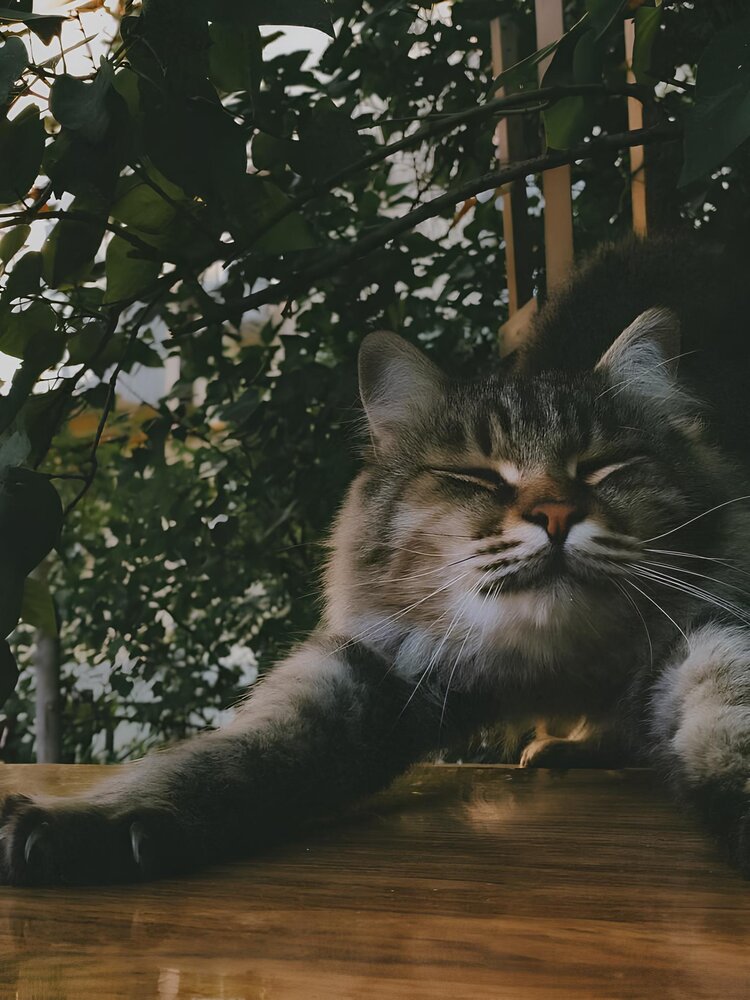 Photograph by Юлия Сысоева