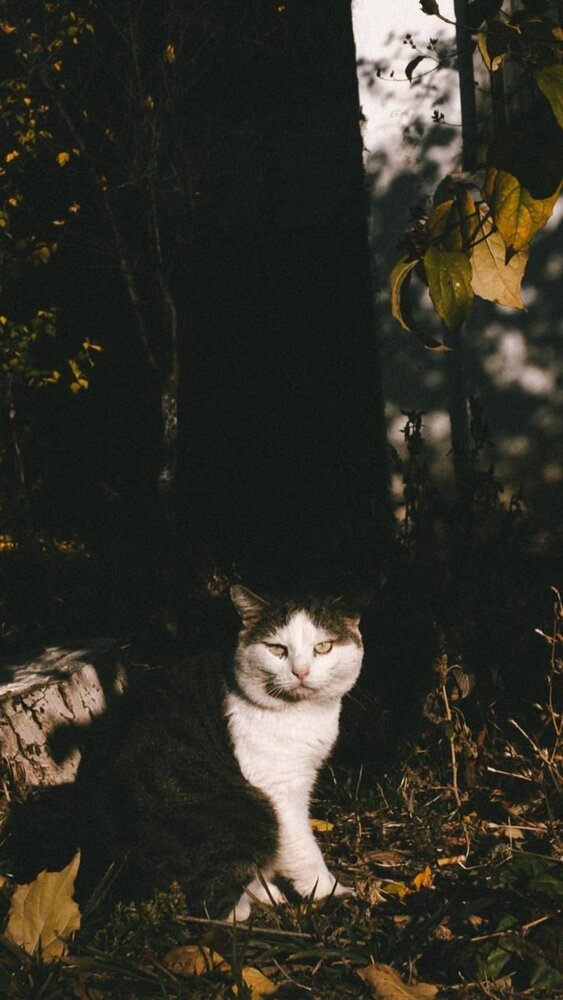Photograph by Юлия Сысоева