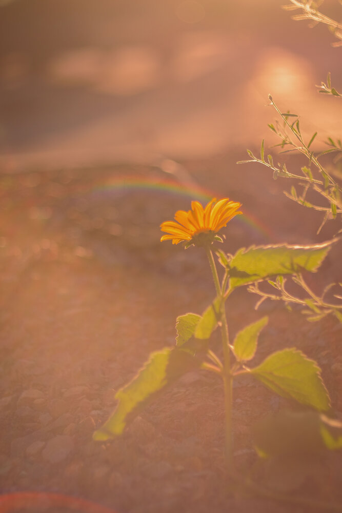 Photograph by Катерина Сорокина