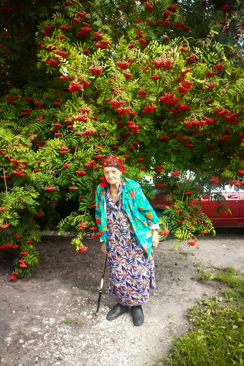 Photo #14026718
