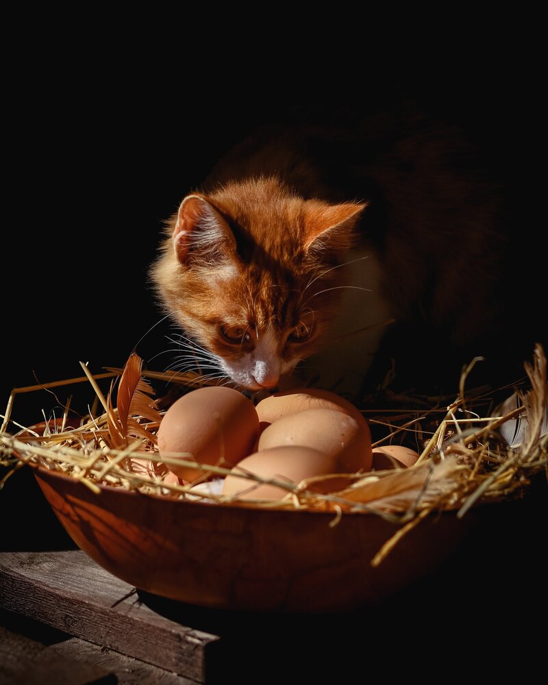 Photograph by Alexandra Sergeeva