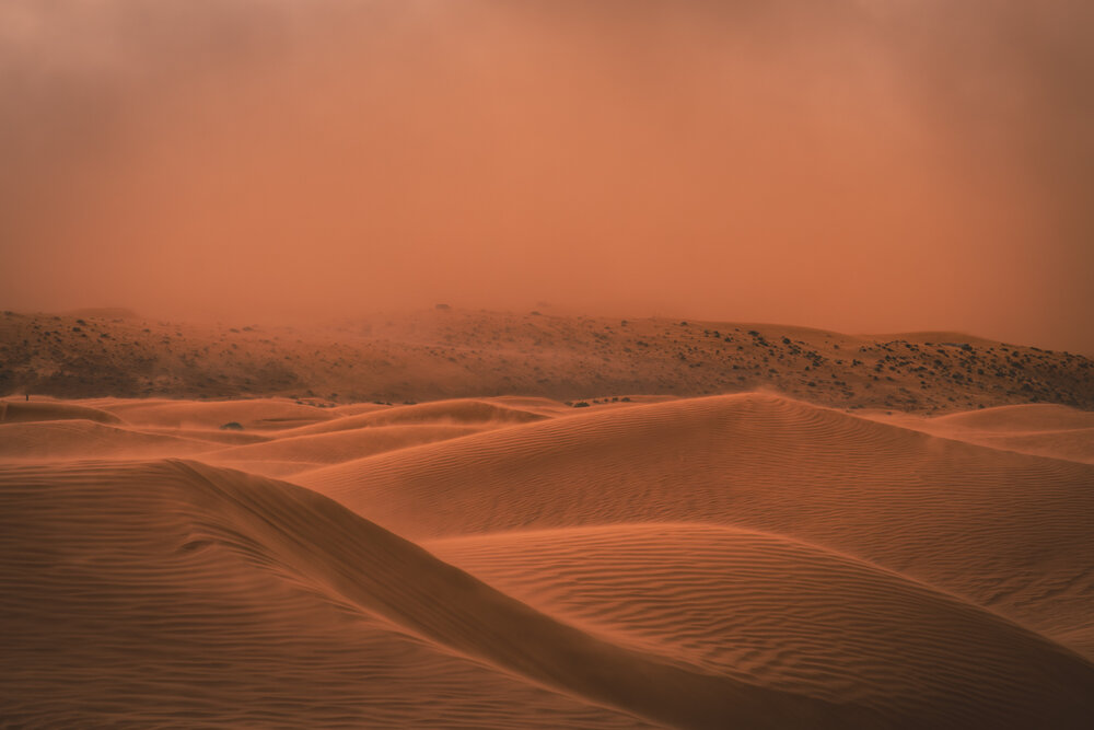 Photograph by Brian Robinson