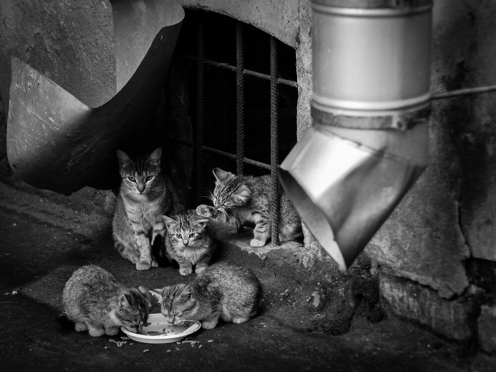 Photograph by Бенгард Виталий