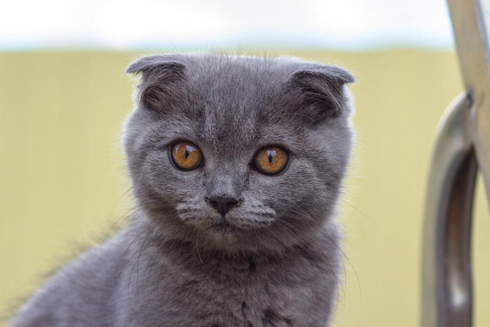 Photograph by Наталья Алхимова
