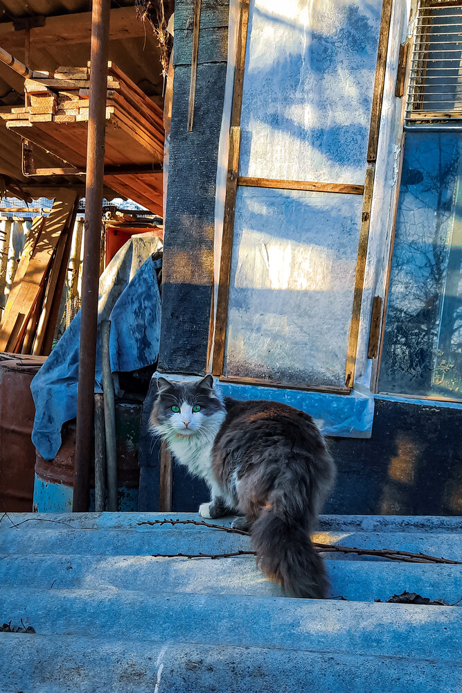Photograph by Александра Ельникова