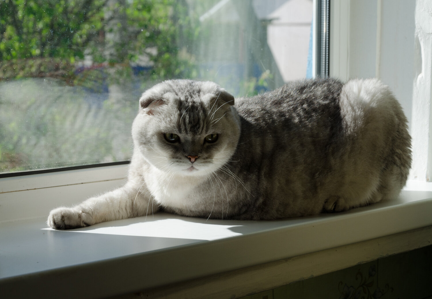 Photo #14026888
