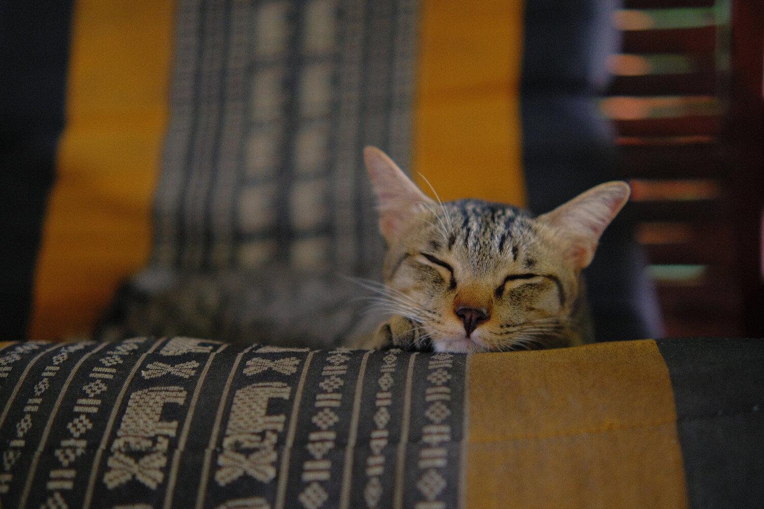 Photo #14026895