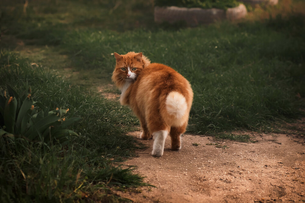 Photograph by Оксана Пономаренко