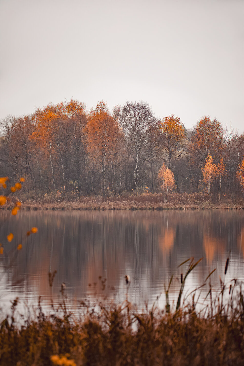 Photo #14026913