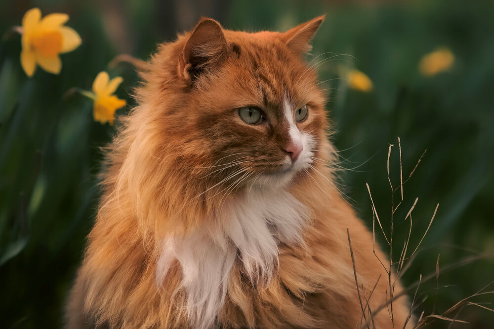 Photograph by Оксана Пономаренко