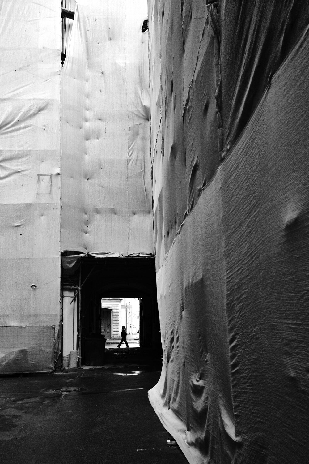 Photo #14026956