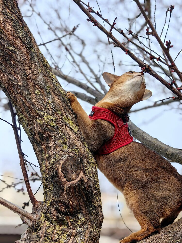 Photograph by OLGA MIKHNEVICH