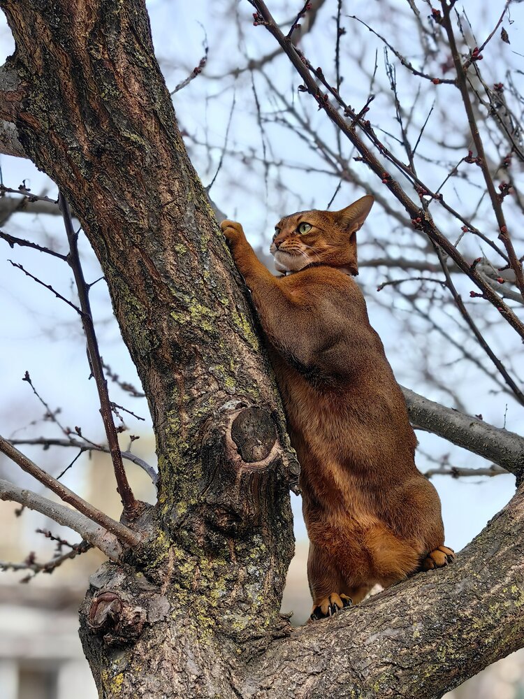 Photograph by OLGA MIKHNEVICH